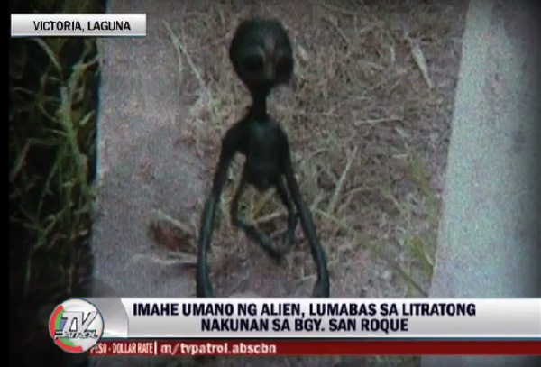 Is This Real Or Fake An Alien Allegedly Photographed In