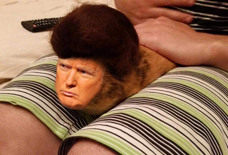 enpxg-trump-guinea-pig.jpg