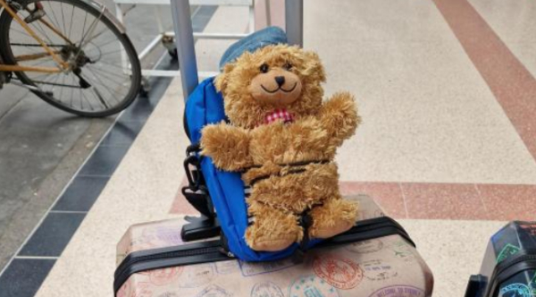 5 Year Old S Beloved Teddy Bear Lost 4 200 Miles Away At Disney World